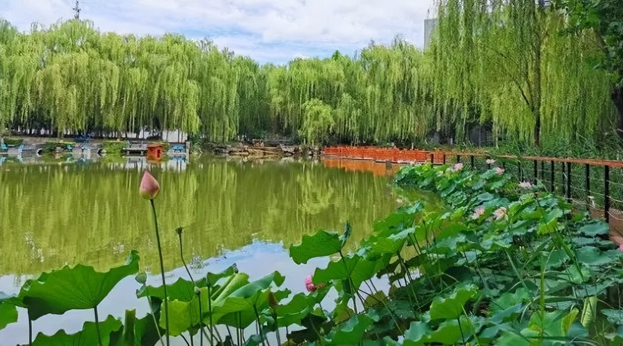 为什么可以报考河北师范大学？