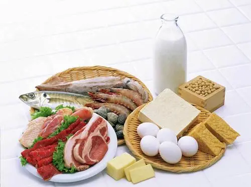 优质蛋白含量高的食物排名（优质蛋白质十佳食物排行榜）