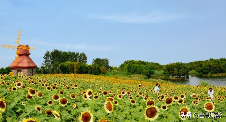 浙江省绍兴市十大景区有哪些？自驾游如何安排行程？