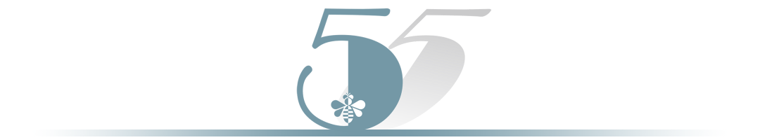 ȫڵ͹ȣ4