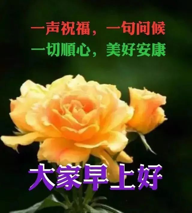 「2022.05.02」早安心语，正能量文案语录 奋斗不止早上好经典语录
