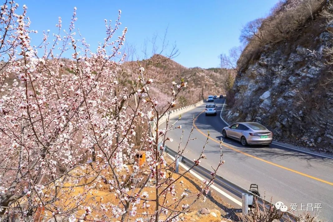 美成仙境的京郊延壽醉美公路，玩賞正當(dāng)時(shí)！