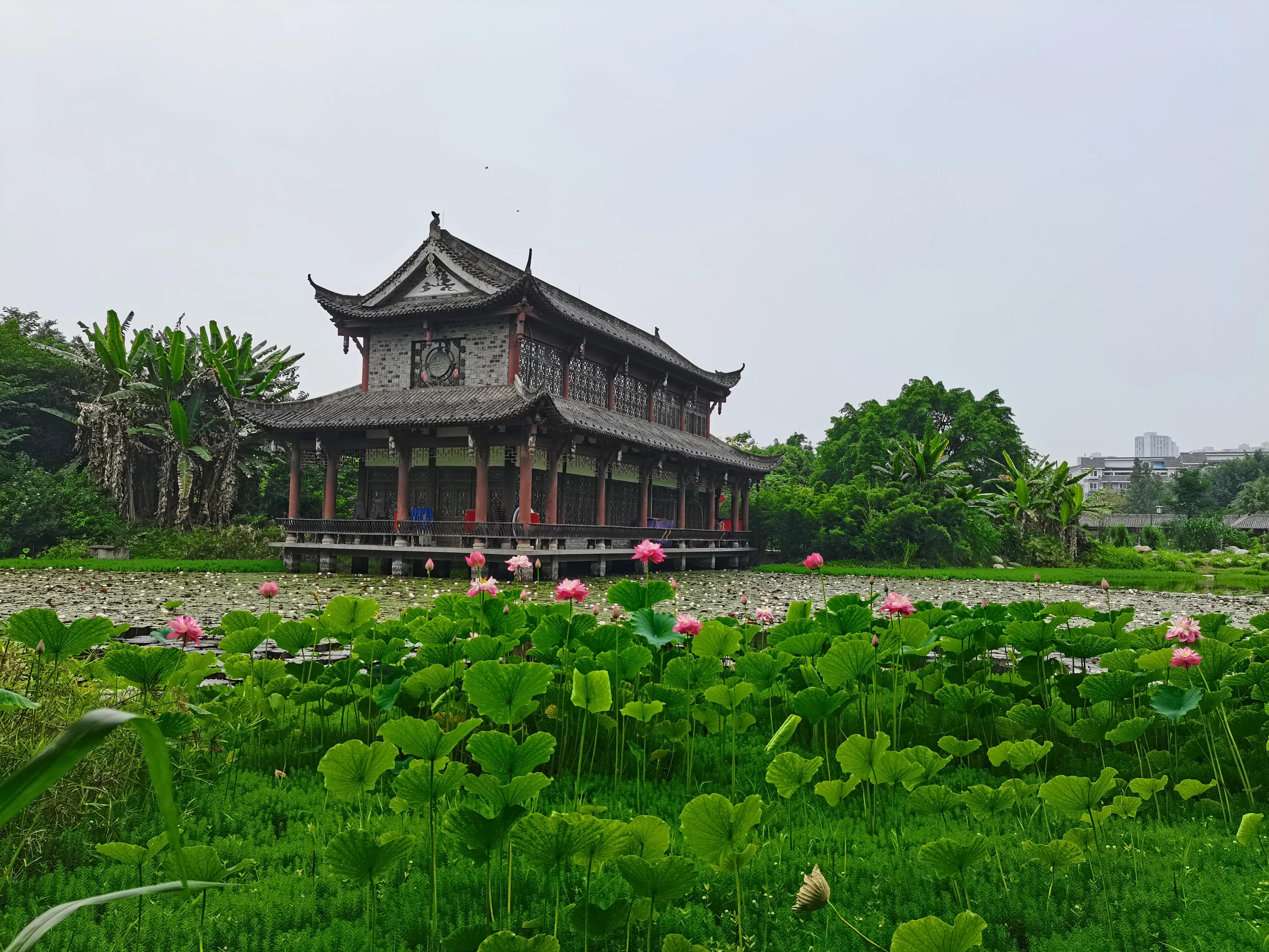 仓央嘉措——陌上花开