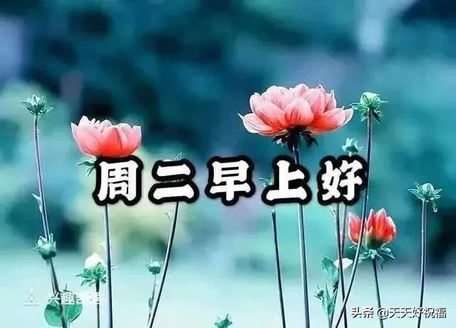 周二唯美微信群发早安祝福短信送朋友 3月最新版早安问候祝福语