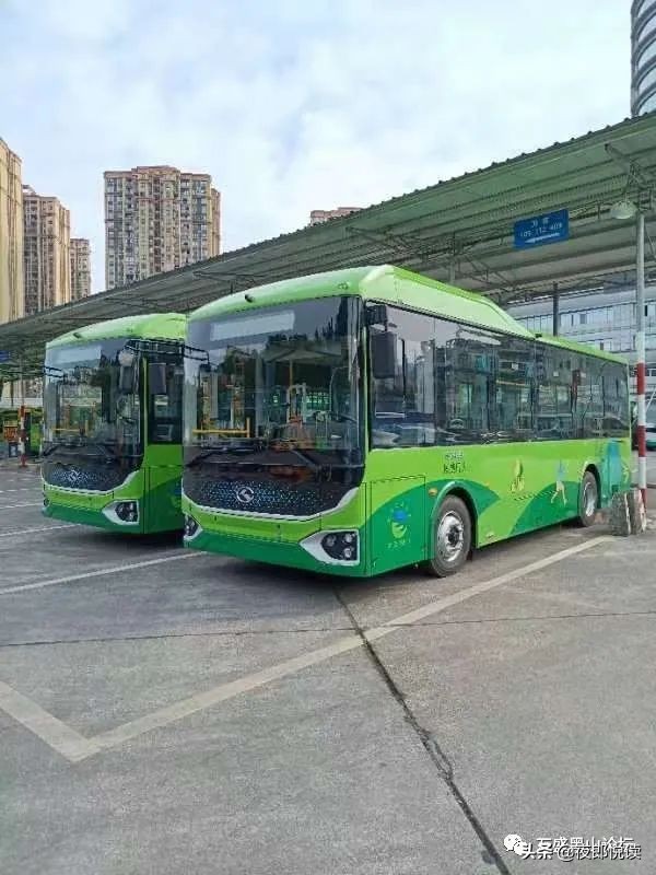 「太虎了」万盛崭新新能源公交车 你坐上了吗？
