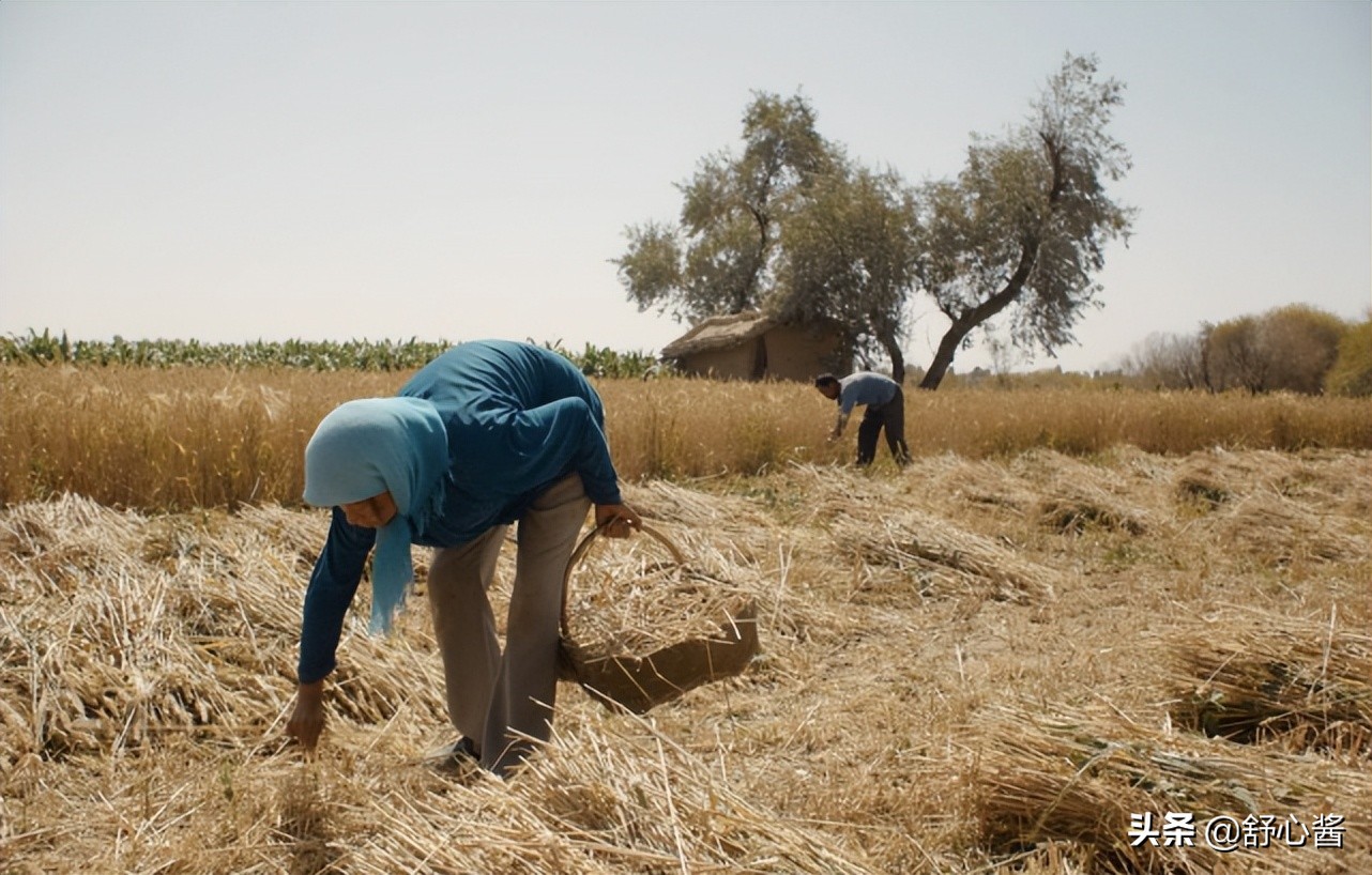 海清灰头土脸，“毁容式”出演，华语影片年度最高分