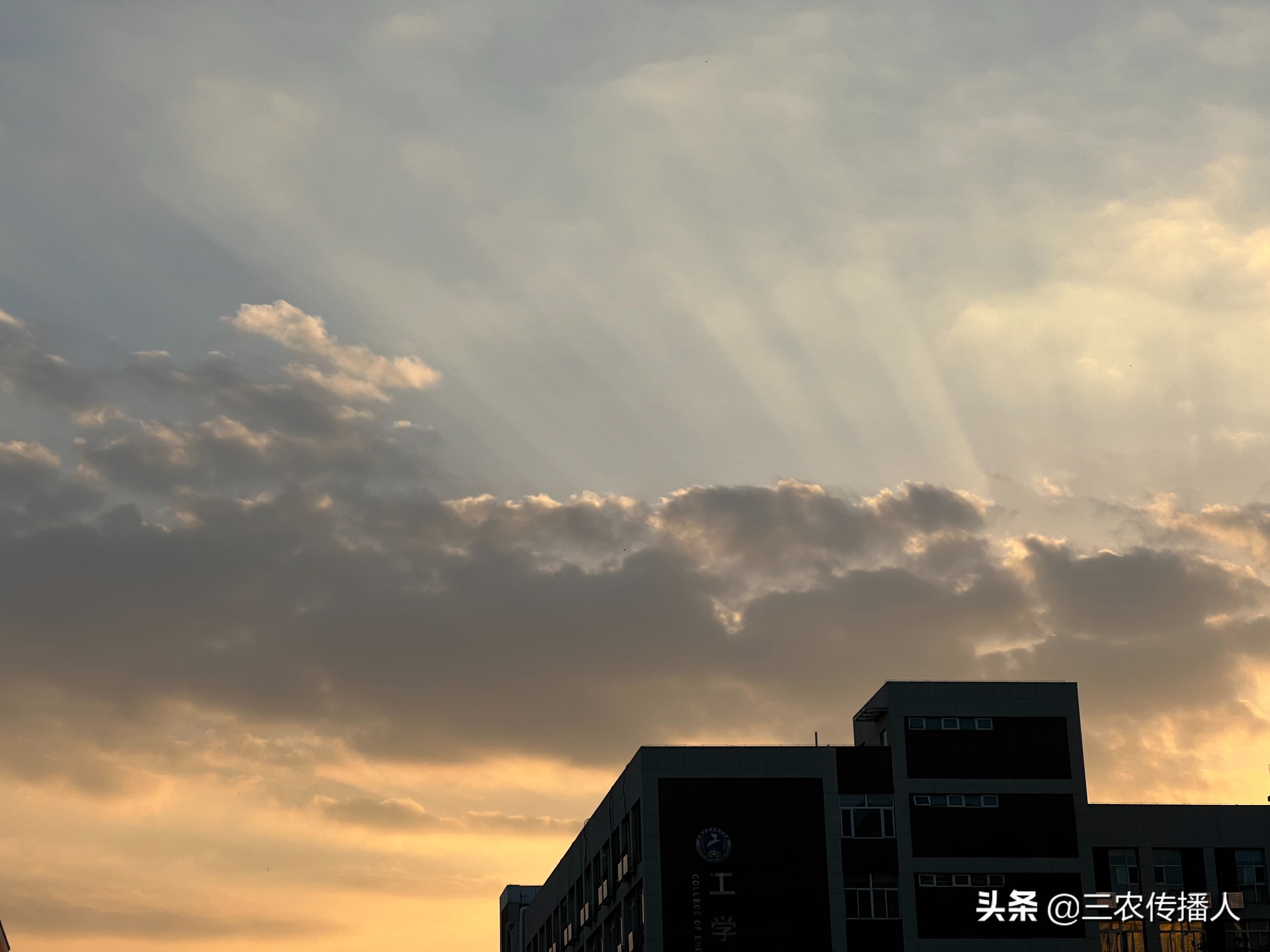 高考将至 | 用照片带你领略中国农业大学~ 是你向往的大学吗？