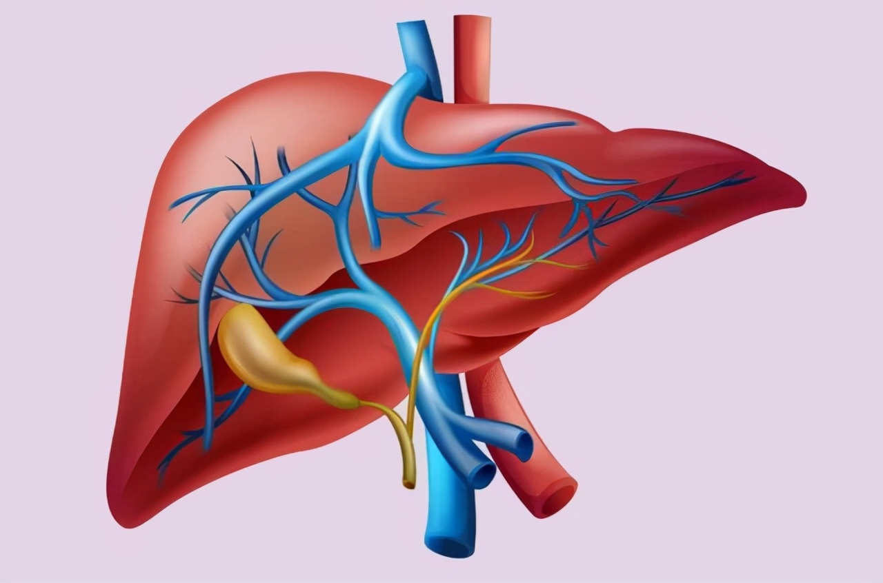 放屁频繁，是肝的问题吗？医生：经常放屁的人，多数是这4个原因