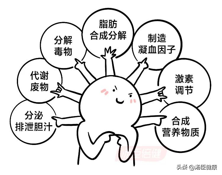 无数人爱喝的这种饮料，是怎样一步步毁掉肝脏的？