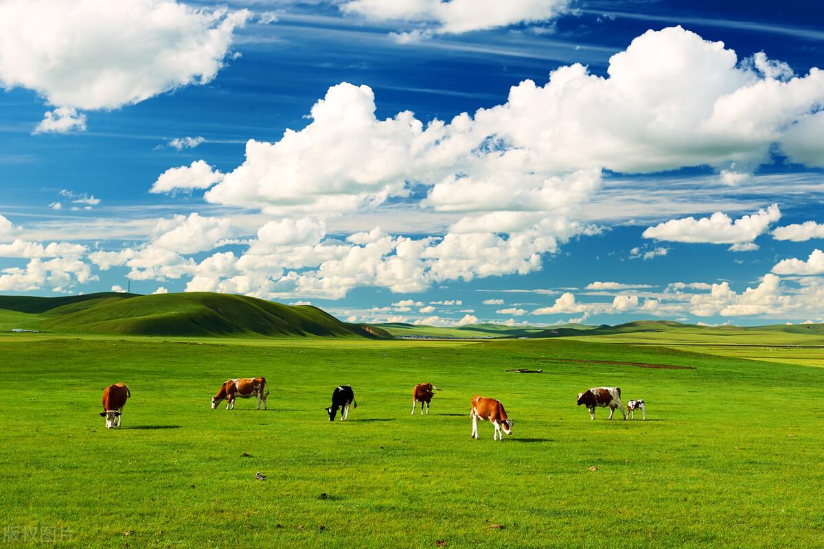 内蒙巅峰对决(1):聂磊和杜成相约草原