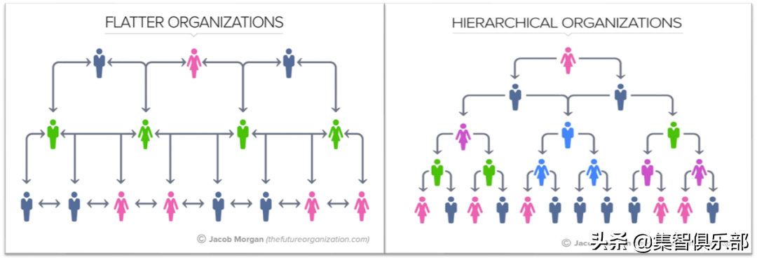 扁平化团队更能促进科学创新——PNAS刊文揭示科研团队的结构差异