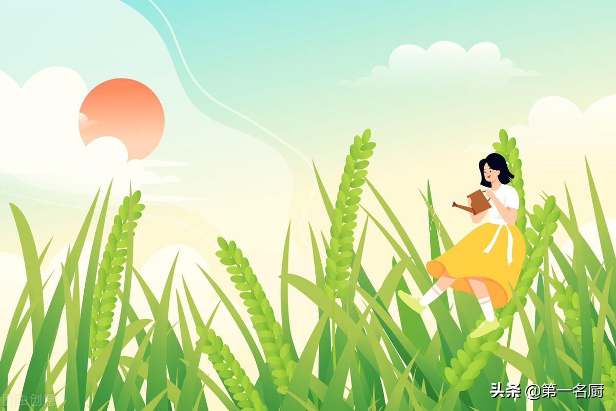 怎么注册汤不热（芒种过后）