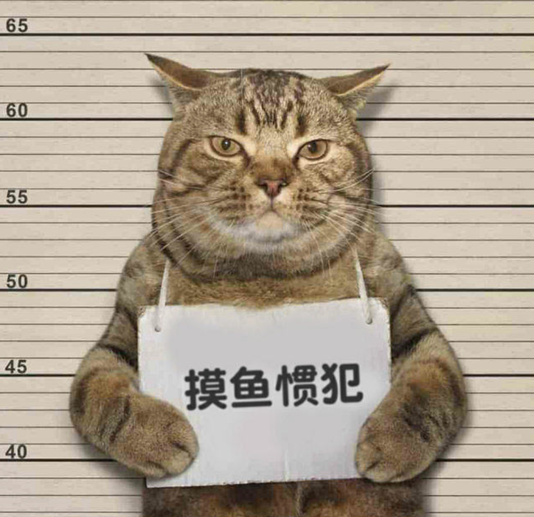 述职报告都卷！大厂都在疯传的述职报告竟然这么简单