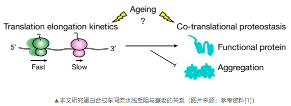 富途 |「医药日报」赛诺菲仿制药部门Zentiva收购价将高达40亿美元