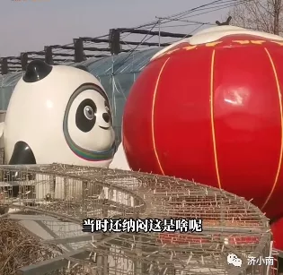 济南一村口惊现巨型冰墩墩！爆火后被村长连夜&ldquo;解救&rdquo;，网友：现在的我你高攀不起