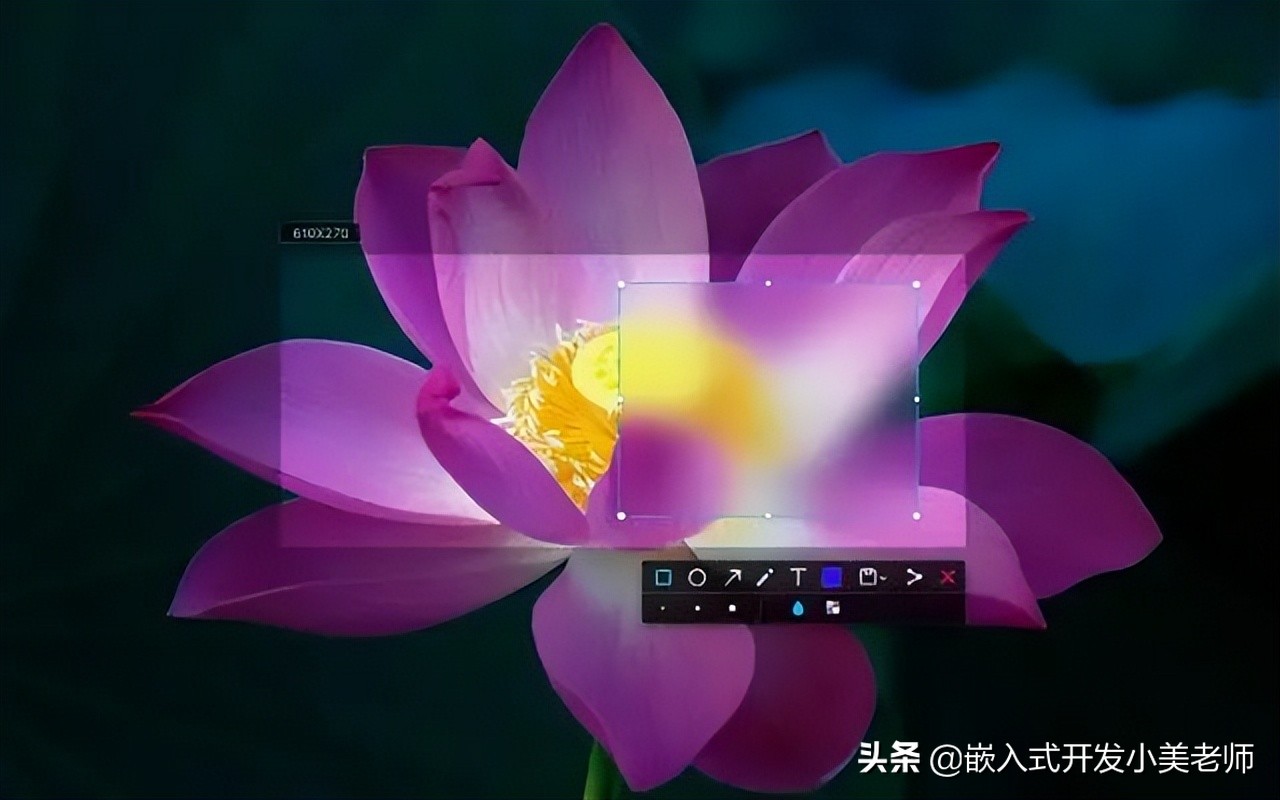 扒一扒國產Linux操作系統架構是怎么設計的？