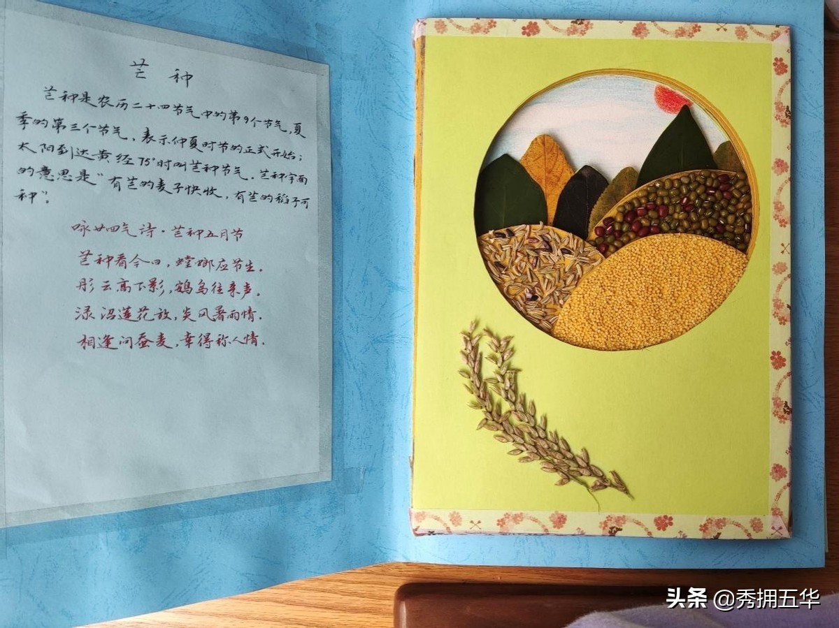 莲华小学开展“我眼中的二十四节气”班队系列活动