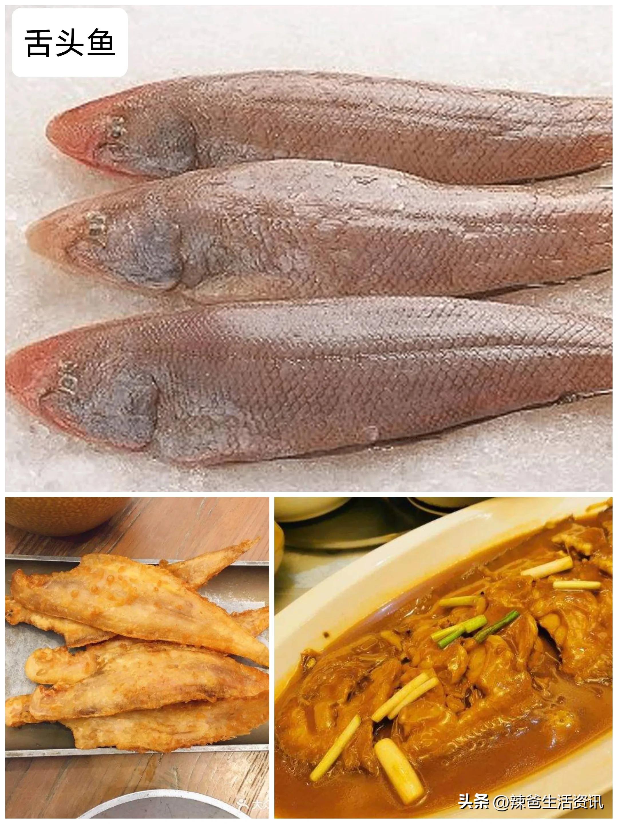 28,舌头鱼(野生)沙板鱼的吃法:清蒸,红烧,家常烧,油炸沙板鱼等.