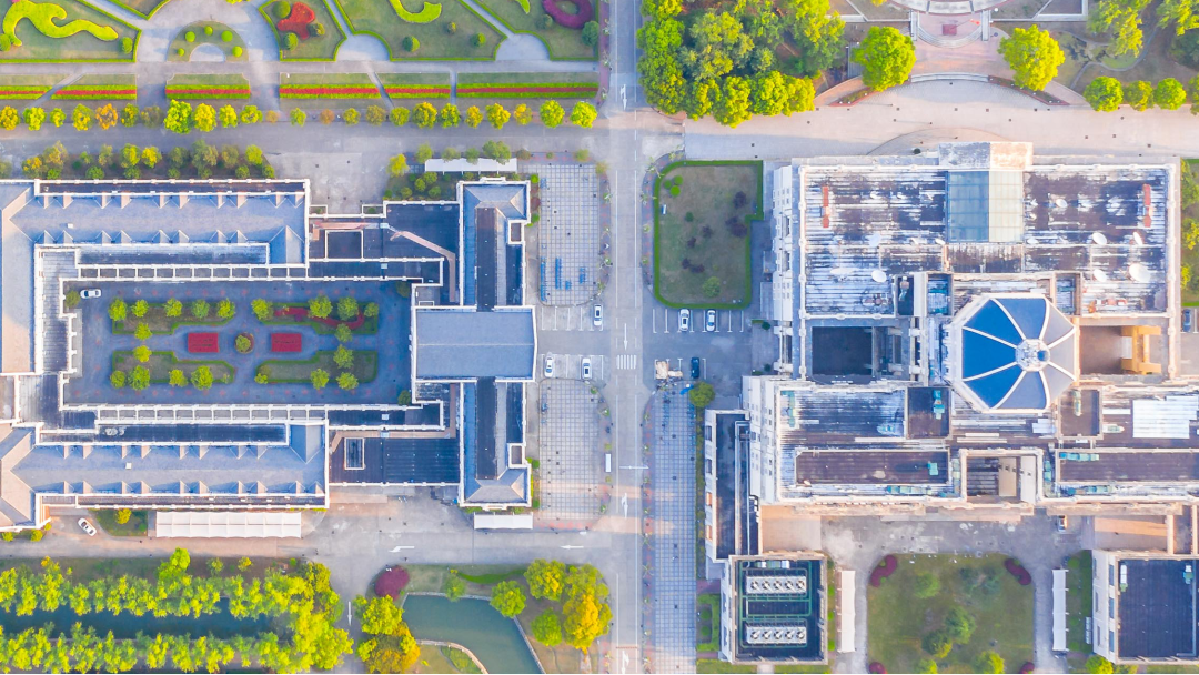 维和女警、一级警长，精通多国语言！这些优秀警察，竟来自上海同所高校！