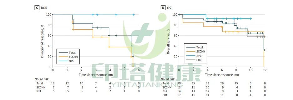 实体瘤新药MRG003最新数据出炉：疾病控制率达66.7%