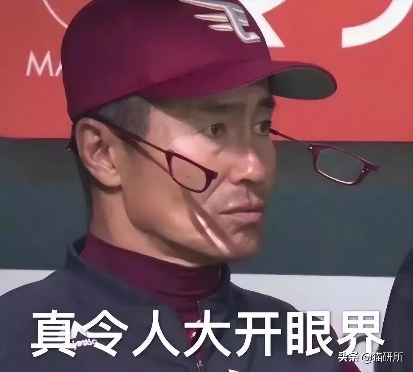 爆肝统计5000个猫名，让所有人都笑死在这些沙雕名字里