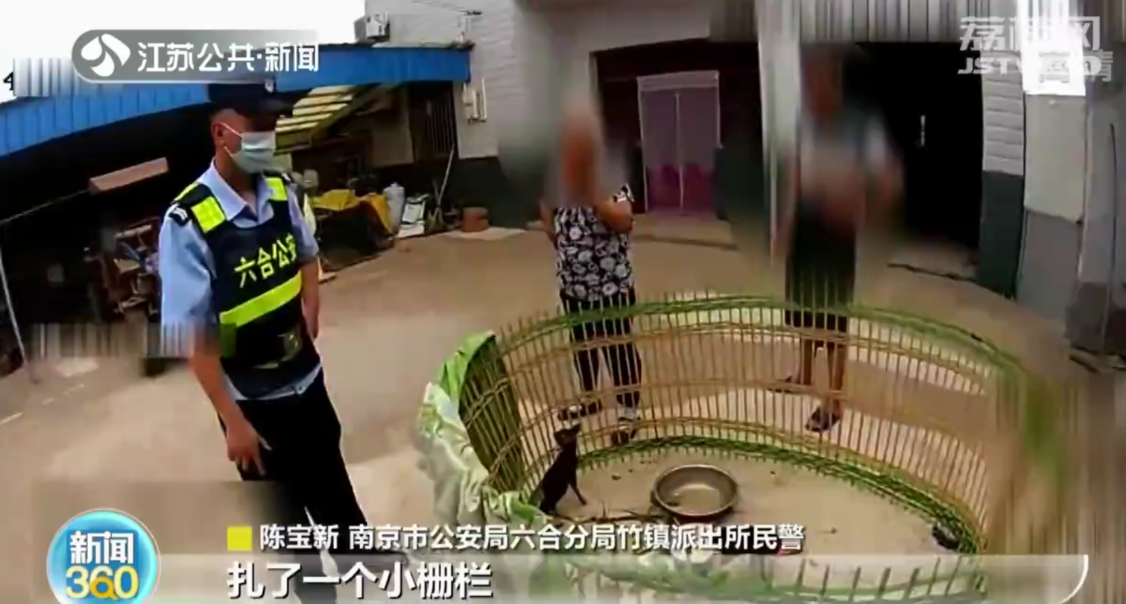 南京村民麦田捡三只&ldquo;小鹿&rdquo;竟是獐子宝宝