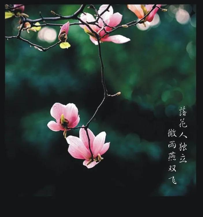 四月春天唯美文艺干净句子,晚春已深,花事荼靡