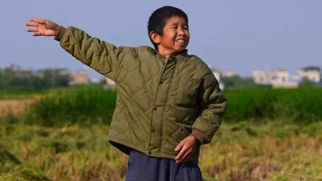 2017年网红收入排行榜：聚焦回村创业群体的收入表现
