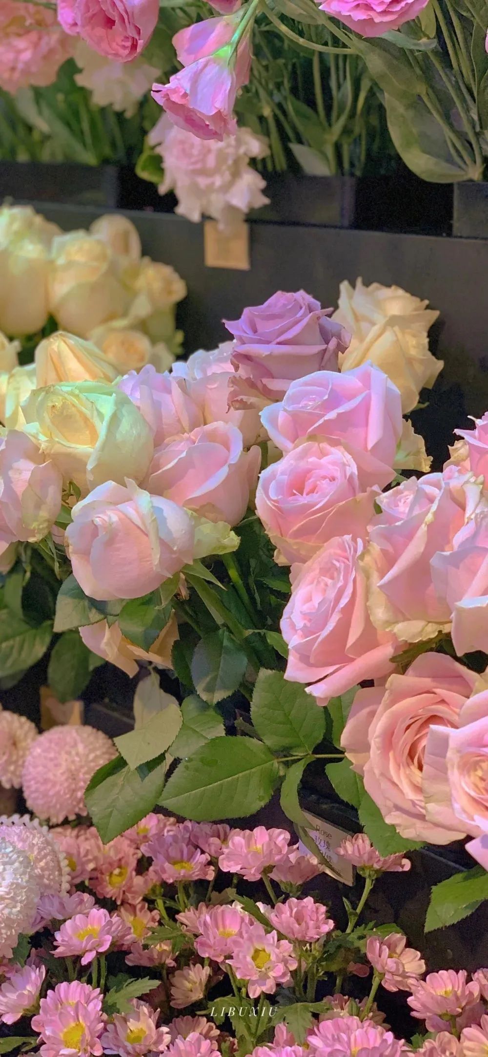 一组超好看的花朵壁纸和沙雕表情包