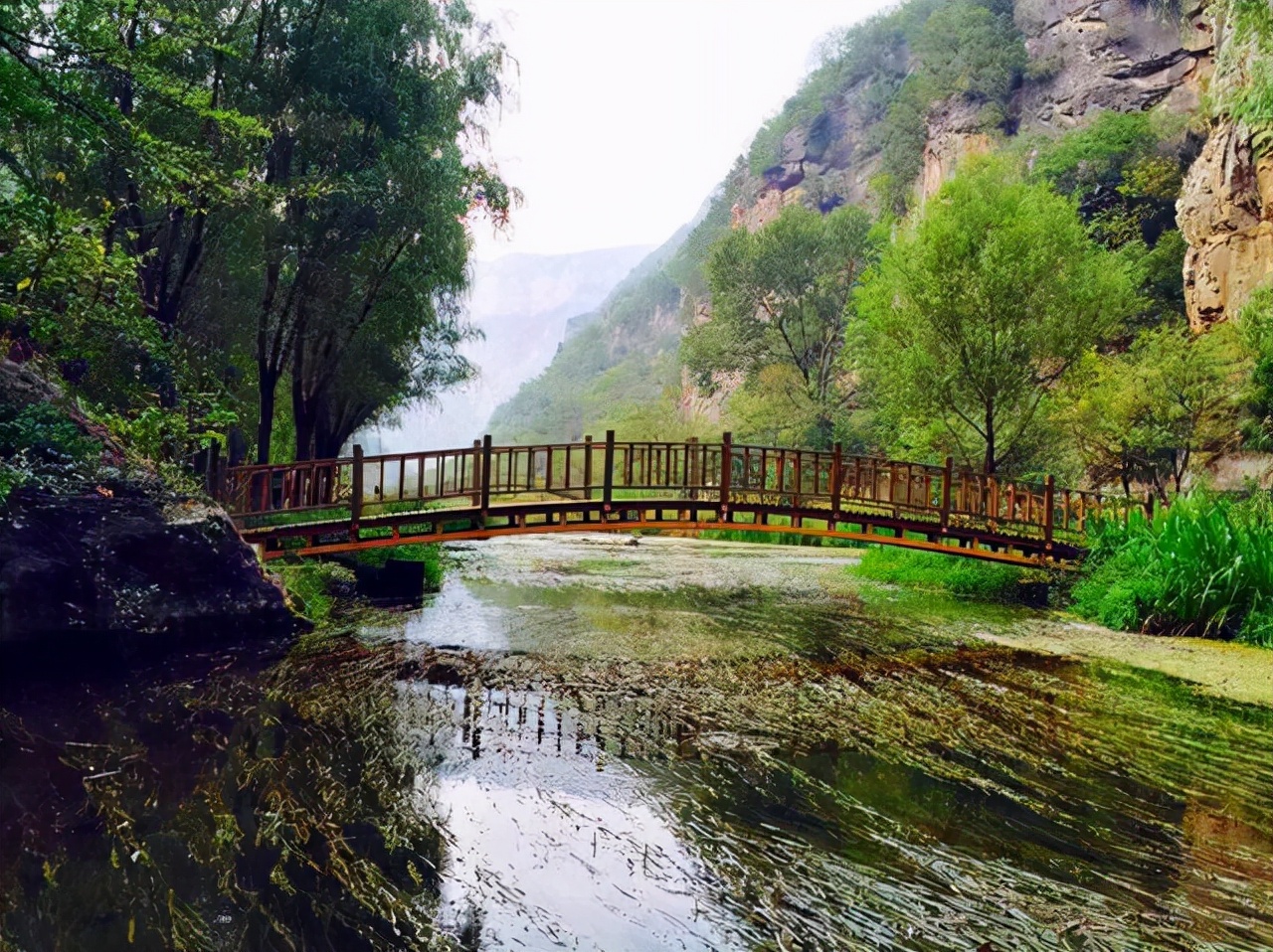 河南這4個景美口碑好的旅遊地,春色漸濃,你還要再錯過嗎?