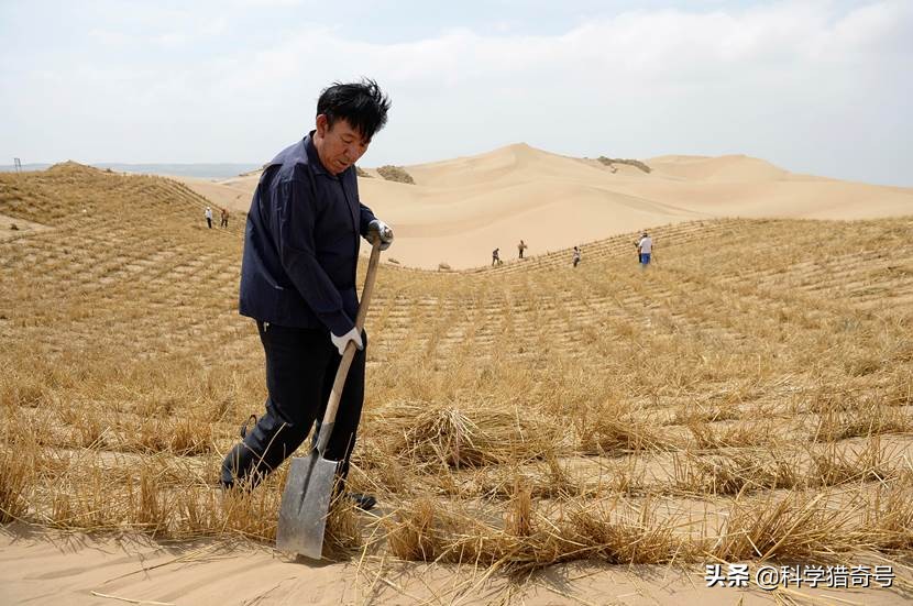 收复失地(中国正在收复“失地”，一年收复一个深圳的面积，连沙漠也能消灭)