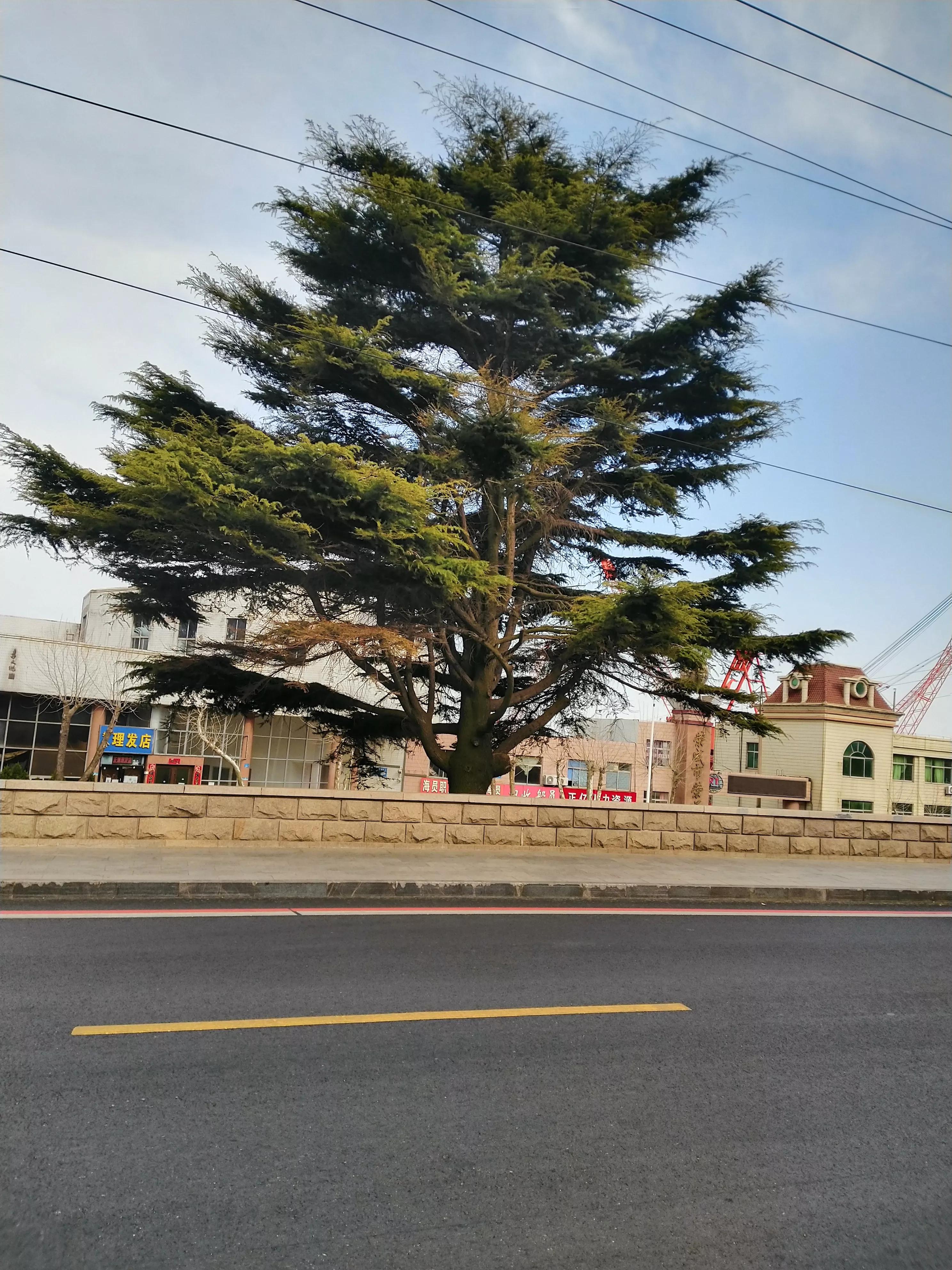 律师谈刑事辩护律师