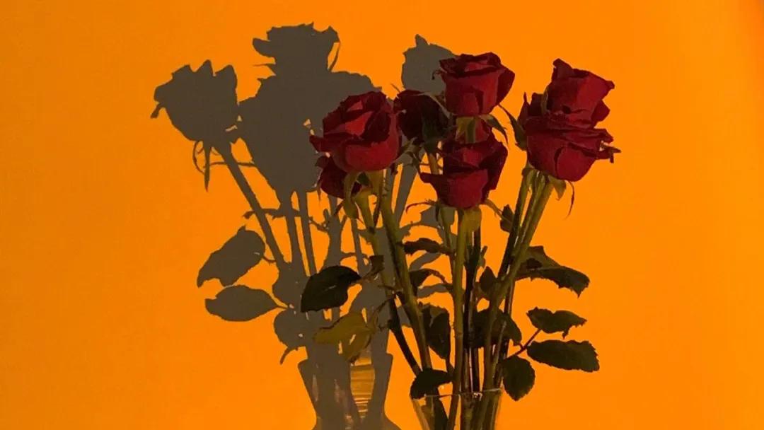 关于玫瑰的永不落俗的高级文案