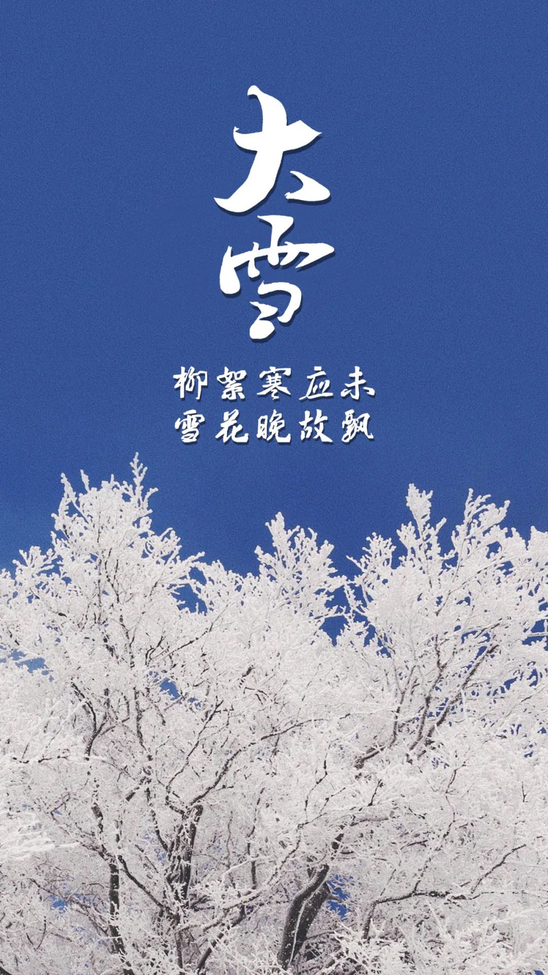 藏在古诗词中的大雪，遇见最美的诗意