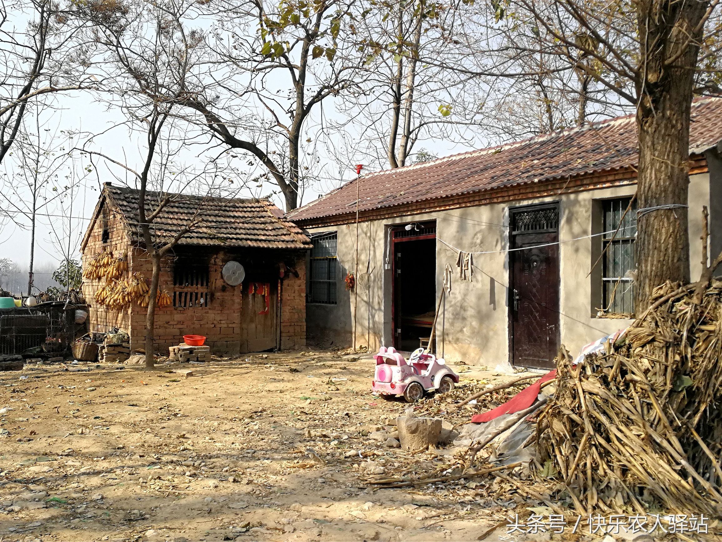 他们离我们普通人太远了.