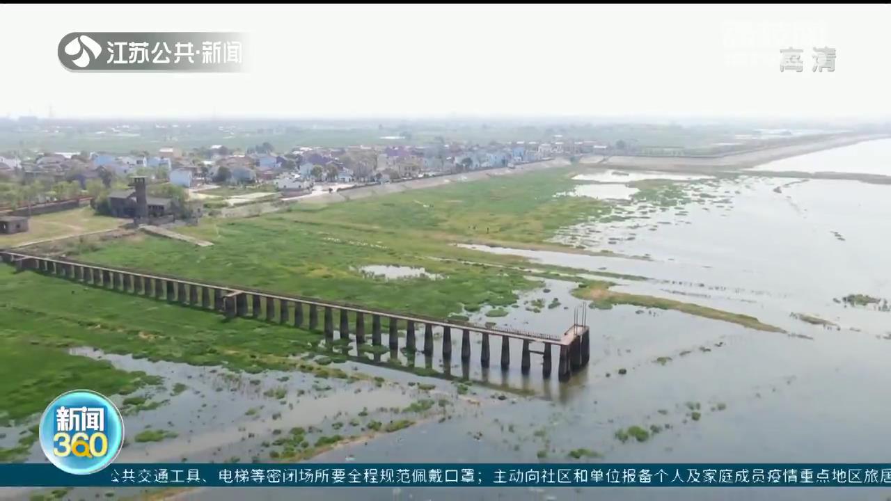 南京石臼湖“龙猫草原”又回来了！踏青郊游防疫不松懈