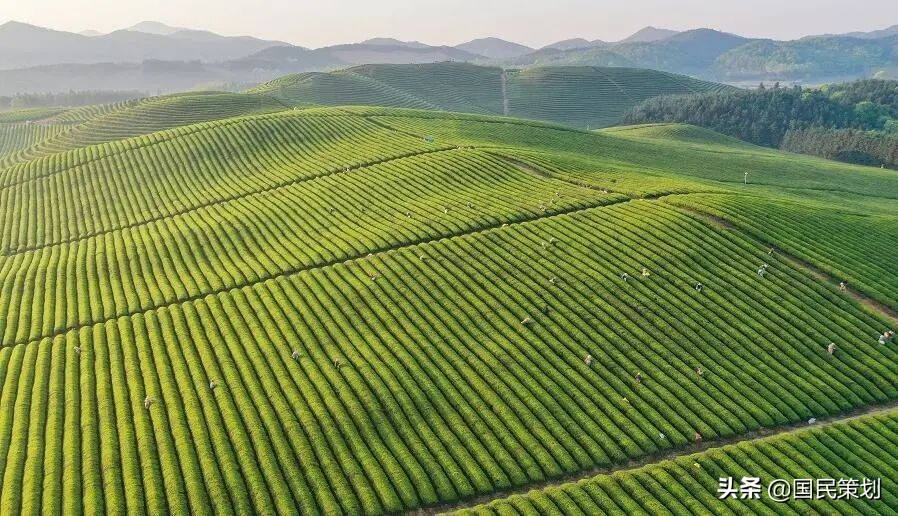 新型城镇化建设，需要“一县一策”，产业是加速器？