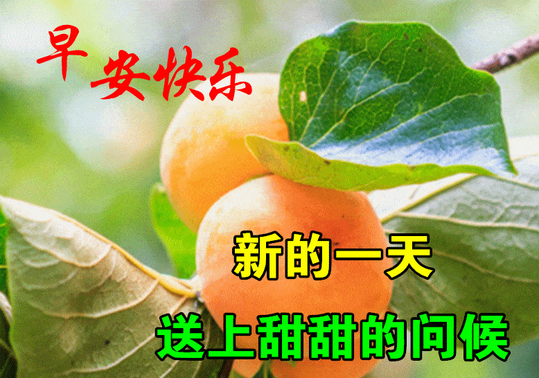 05.20」早安心语,正能量句子文案 520我爱你语录说说图片