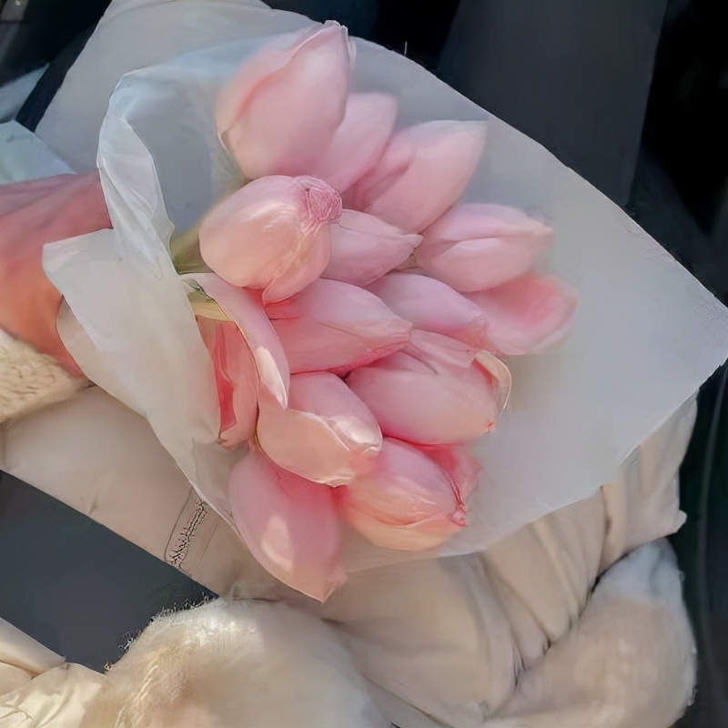 遗憾又错过的文案