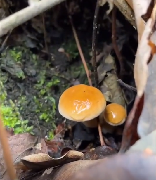 ����һ��ѧ�������У����ɽ��ѧ��&ldquo;̤ƽ&rdquo;�ҿ��֣��񶼱�������