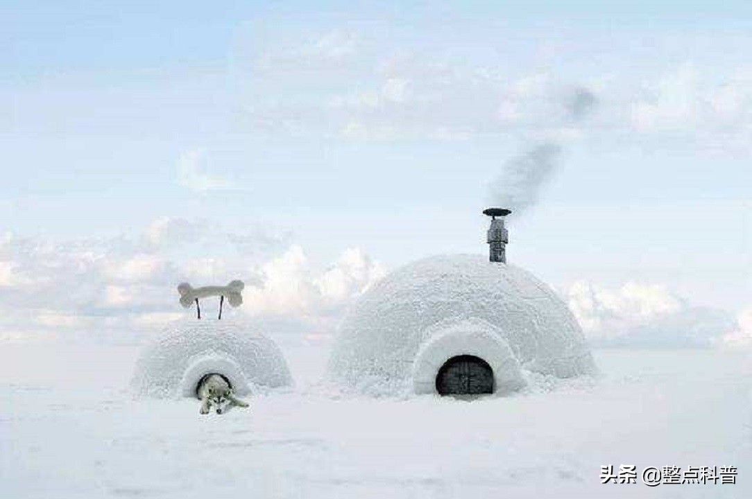 因纽特人住冰屋为何不冷?在屋子里生火,雪不会化吗?