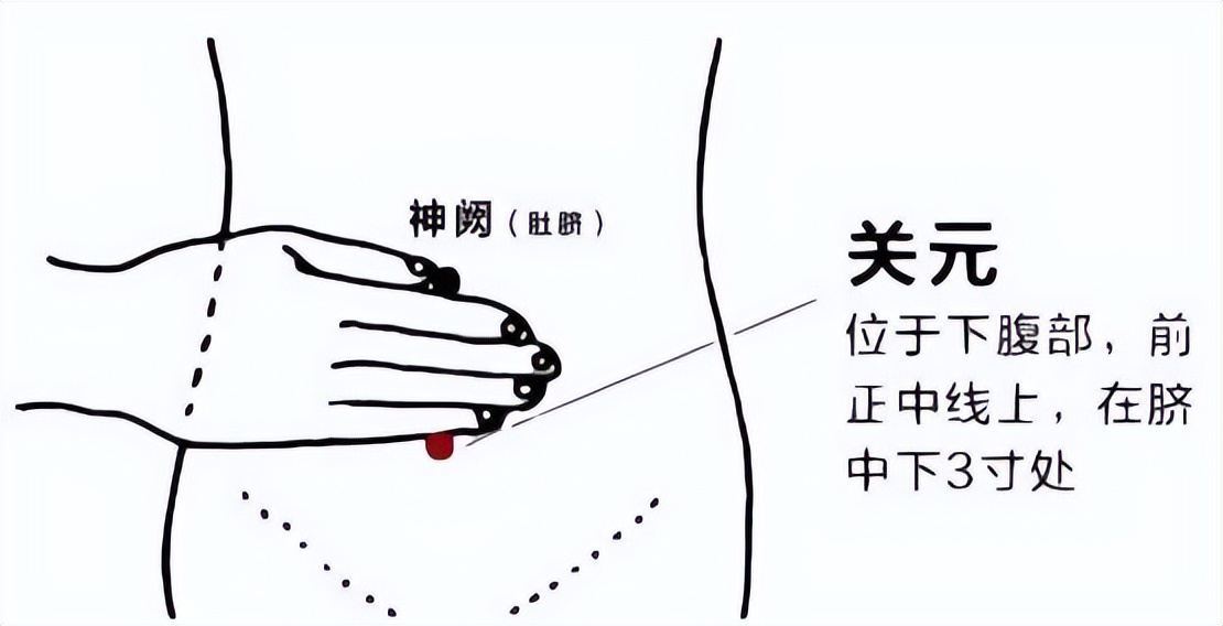 要找下腹部前正中线上,脐下3寸处,也就是肚脐下方,四横指宽的位置