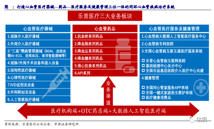 乐普医疗：股票投资分析报告