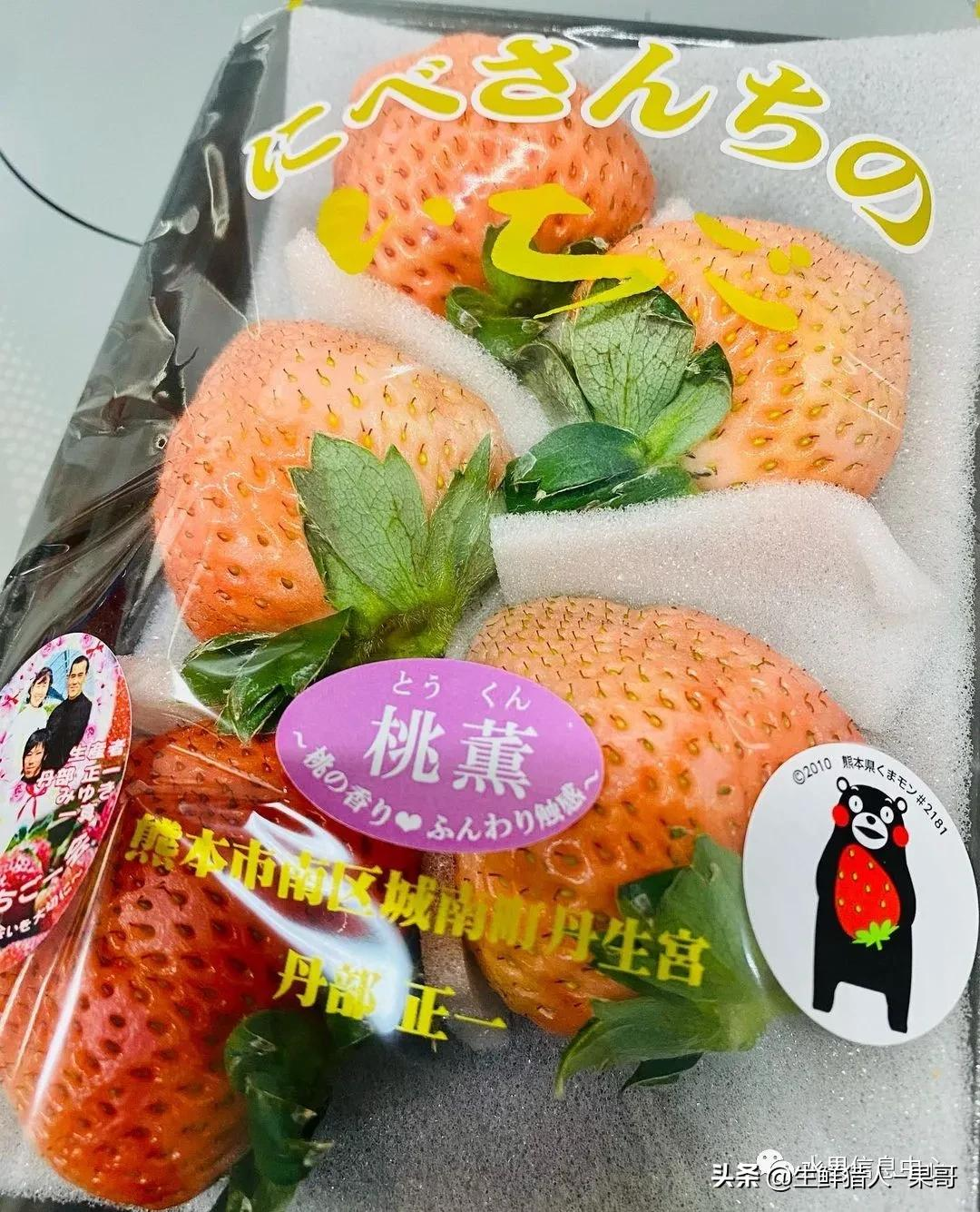 越秀草莓图片（中国草莓主要产地分布及品种介绍）