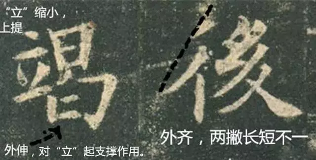 ŷ鷨дžʣ
