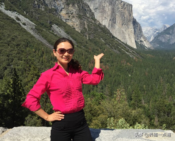 云南农业大学校徽（陈辉）