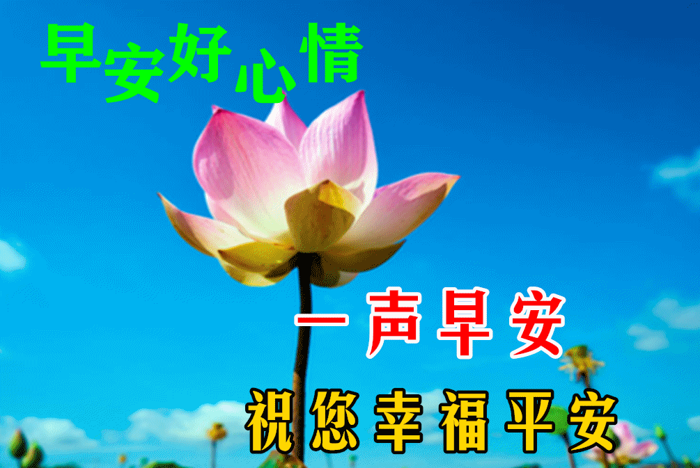 早上好的句子 早安祝福问候带字图图片