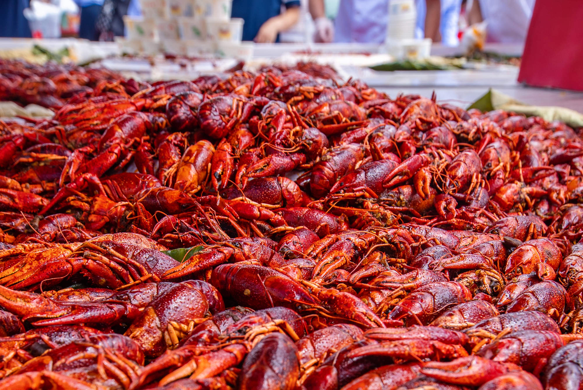 "虾闹盛夏 嗨啤不止"宁夏沙湖小龙虾节喷香开幕