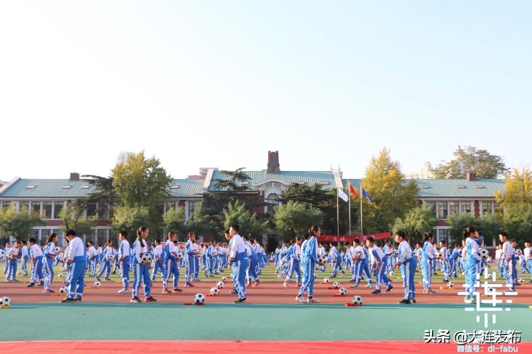 大连市实验小学教室里飞进一只喜鹊(图13)