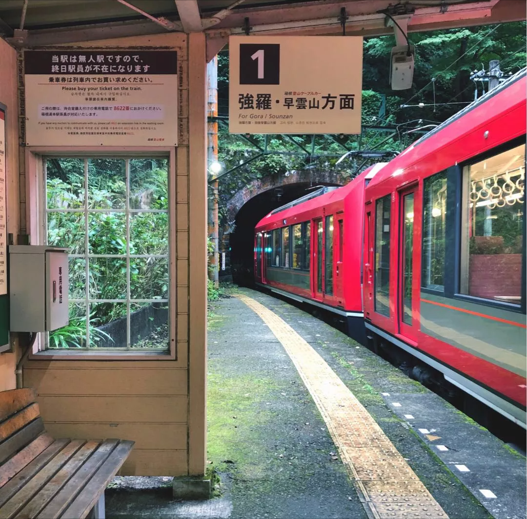 在日本，一个女生独自旅行的完整攻略